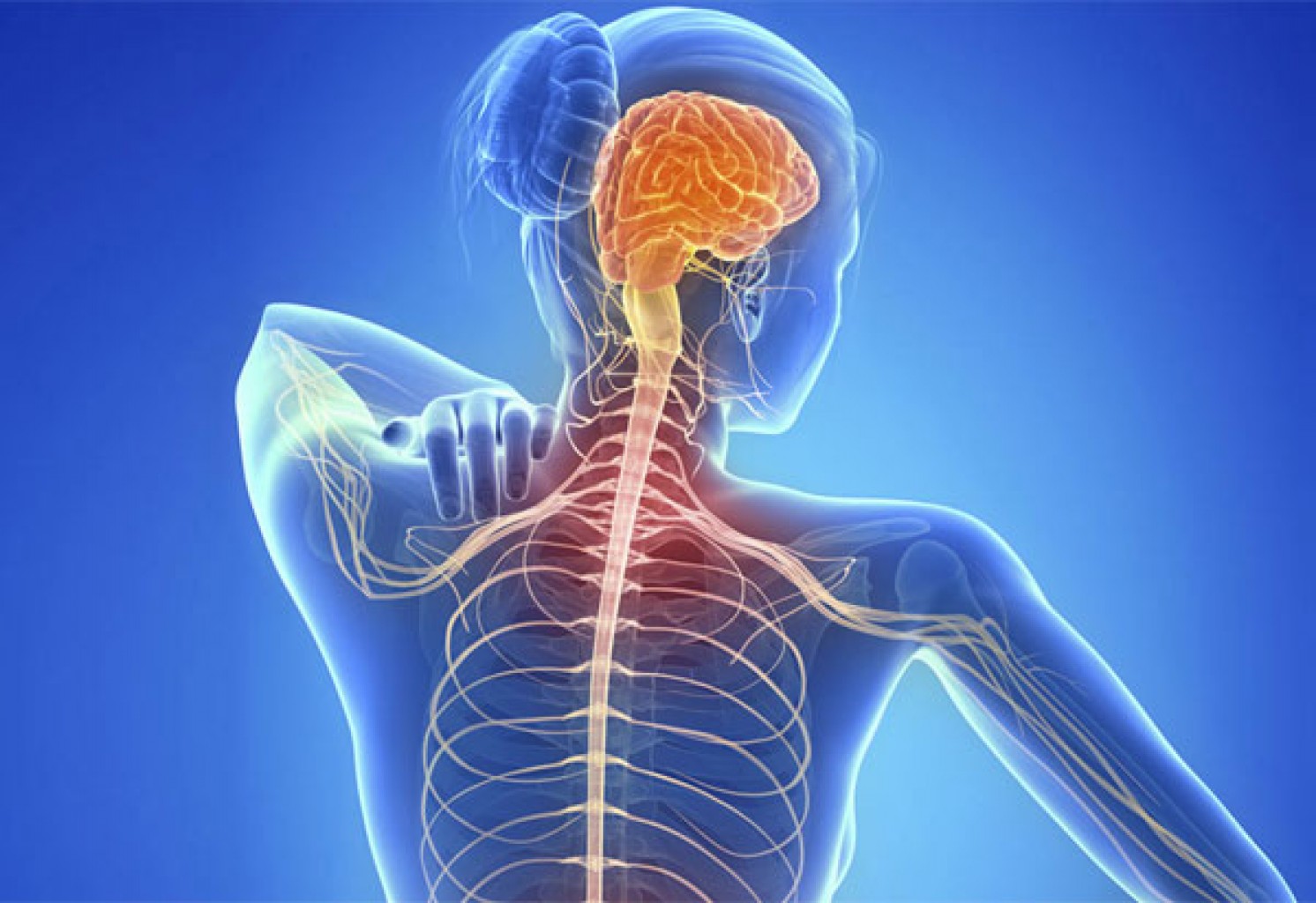 Lucha contra la Esclerosis múltiple  Mujer de Oklahoma búsca tratamiento