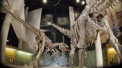 Visite la Biblioteca Sam Noble en el Día Anual de la Biblioteca 