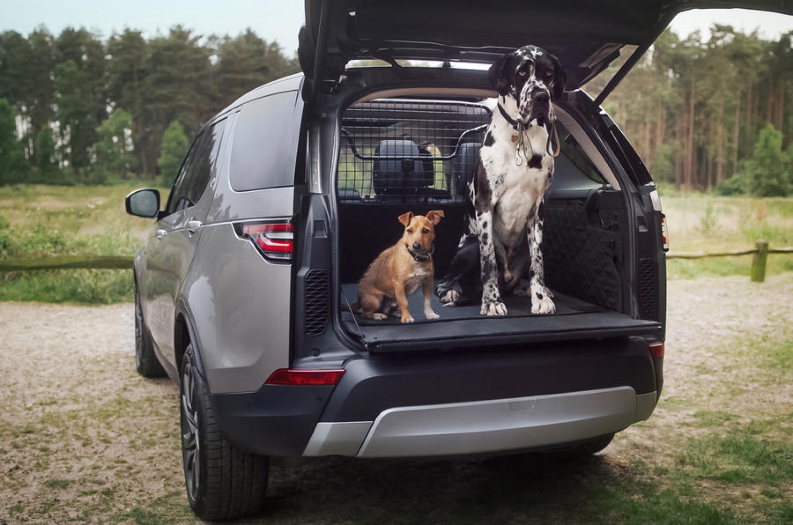 Land Rover quiere que los animales viajen más cómodos en sus vehículos