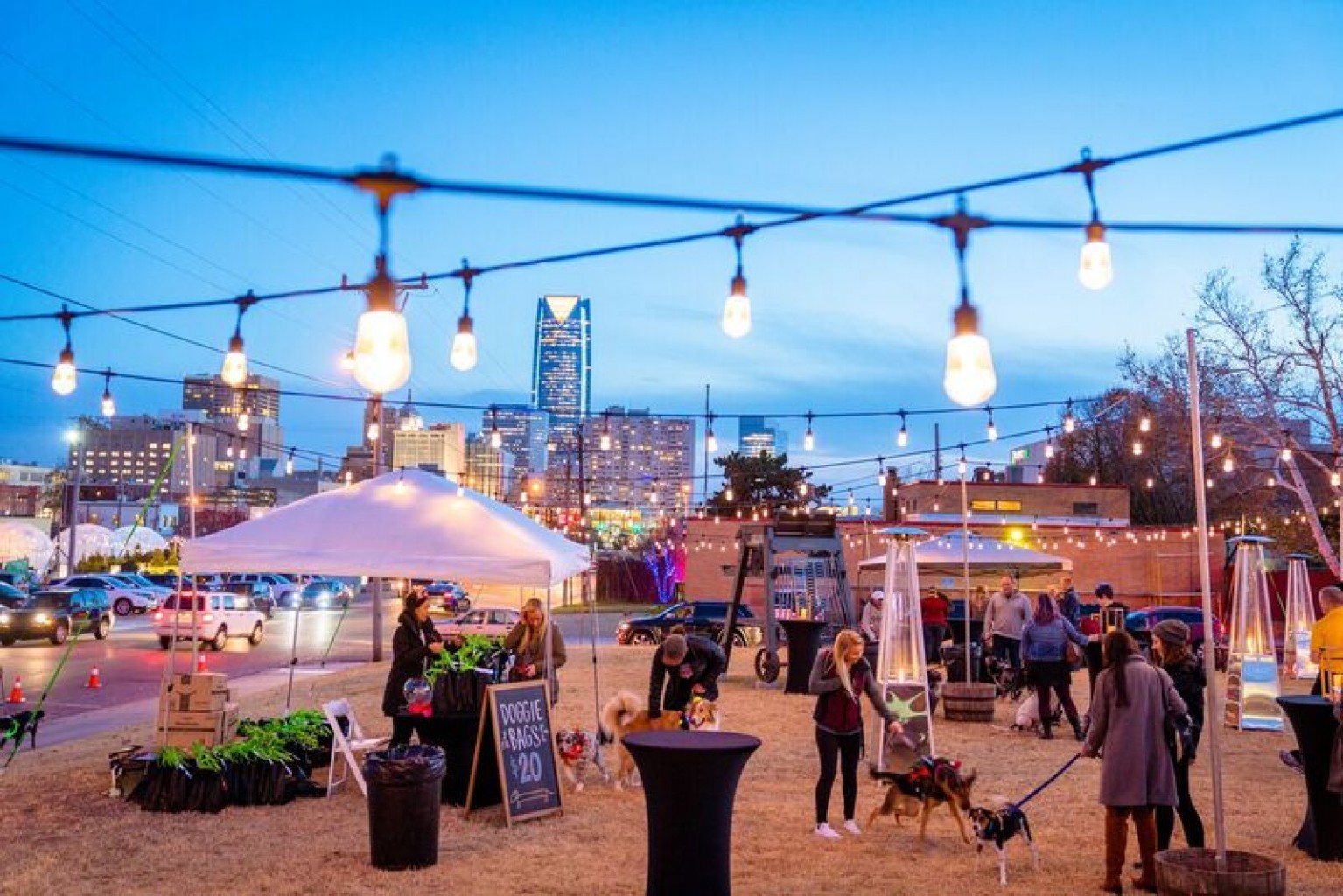 Fiesta Navideña  para Perros