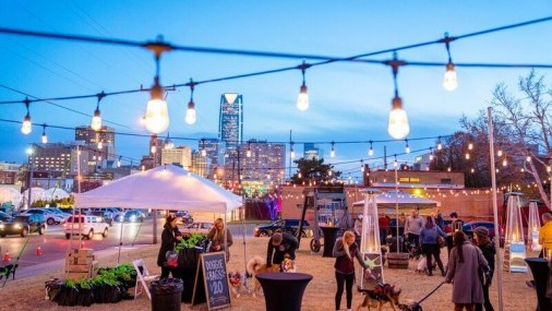 Fiesta Navideña  para Perros