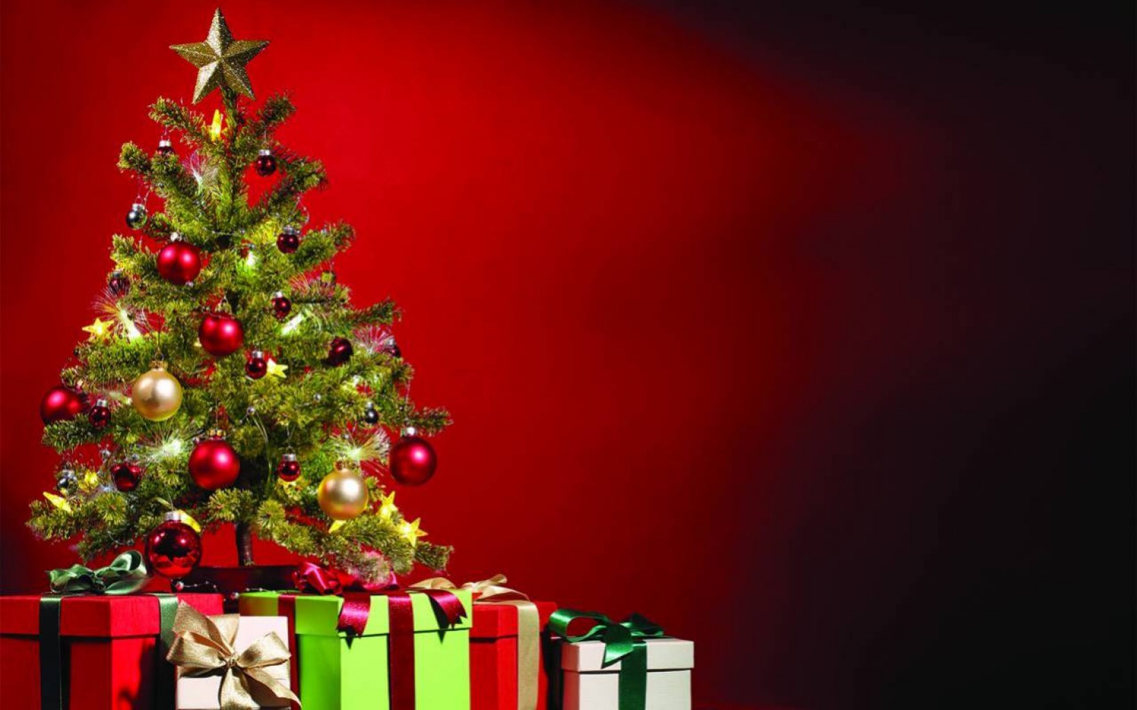 Holidays  or  Holidaze?