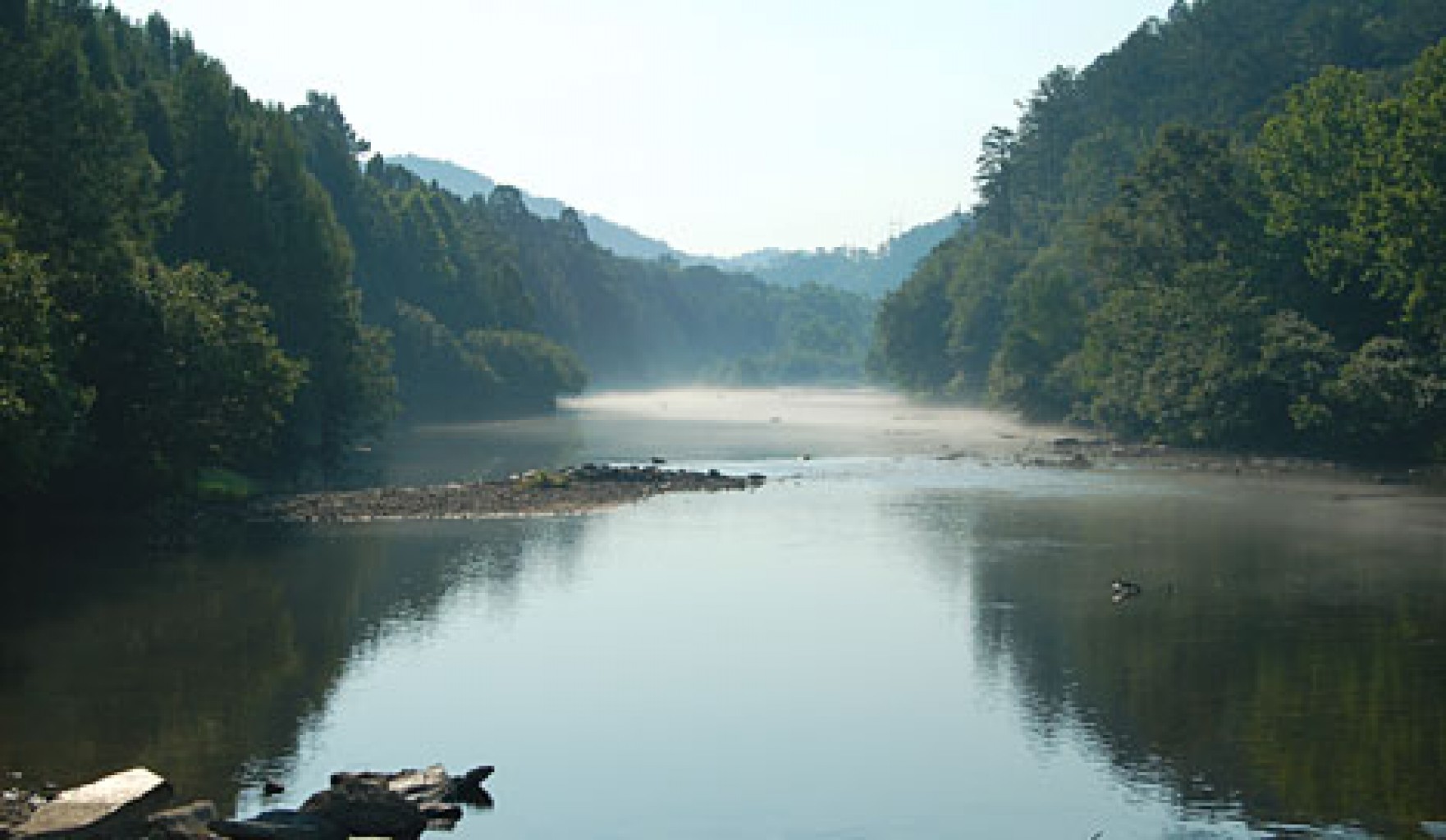 Forest Heritage Center ofrece Programa de Becas