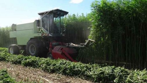 Commercial Hemp Bill Signed into Law