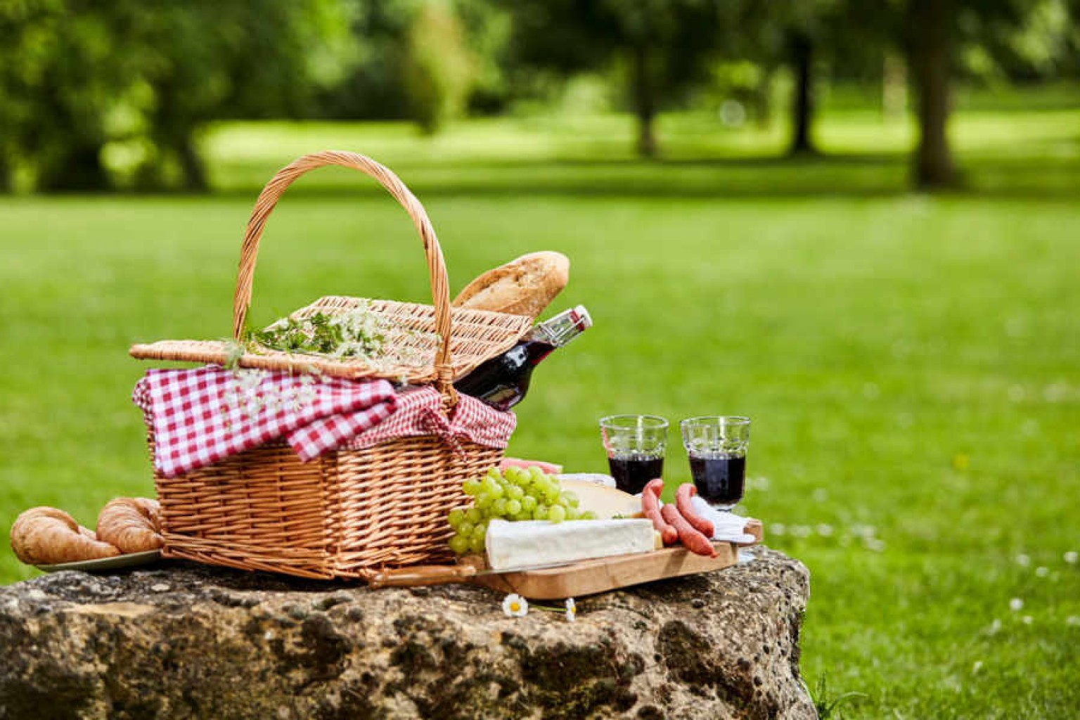 Consejos para  evitar intoxicaciones  a la hora de los picnics