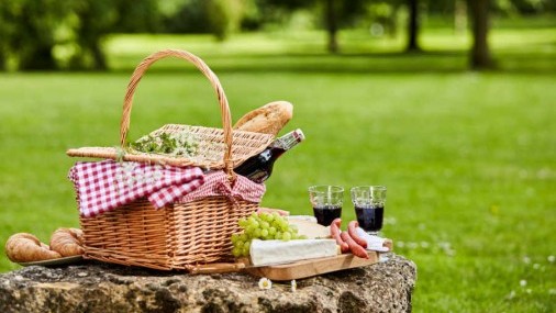 Consejos para  evitar intoxicaciones  a la hora de los picnics