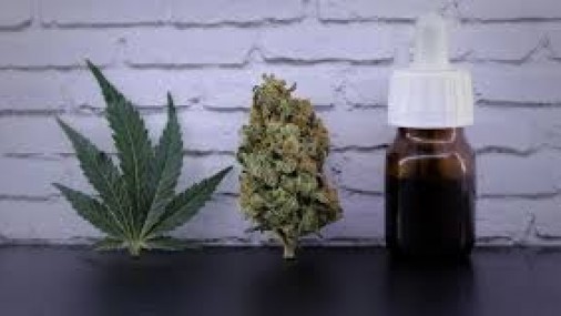 APRUEBAN Nuevas Regulaciones para el Programa de Marihuana Médica 