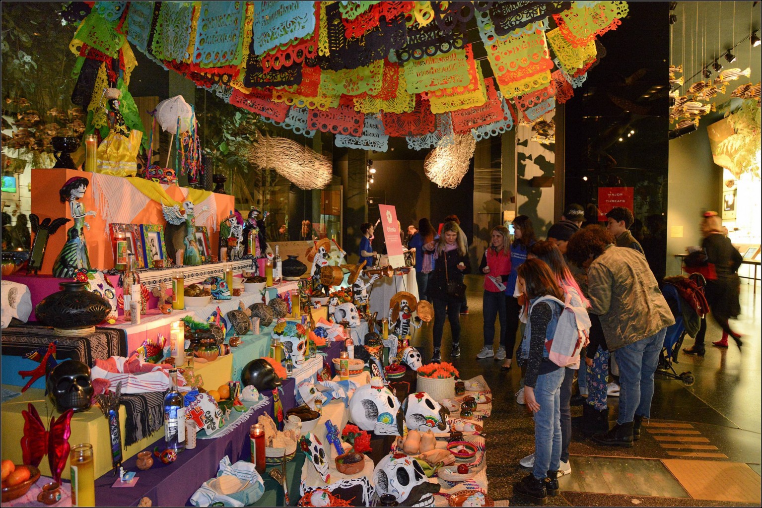 AMERICAN MUSEUM OF NATURAL HISTORY WILL CELEBRATE DÍA DE MUERTOS