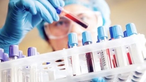 EEUU planea archivar datos de ADN de solicitantes de asilo