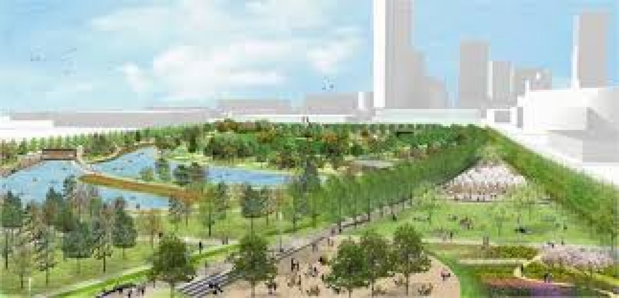 Elección especial MAPS 4  Diciembre 10 