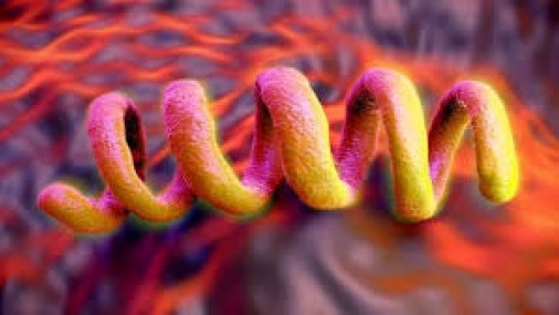 Casos de sífilis congénito en Oklahoma aumenta a una tasa alarmante