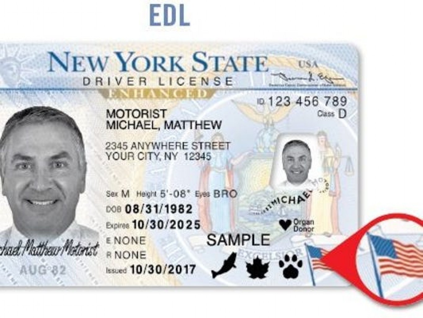 ¿Que necesita saber un indocumentado para tener licencia conducir en Nueva York?