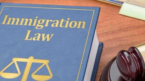 Implementación de la Inamisibilidad por Carga Pública