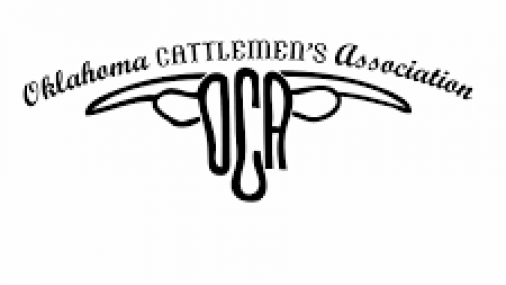 Oklahoma Cattlemen's Foundation Offers over $23,000 in Scholarships 