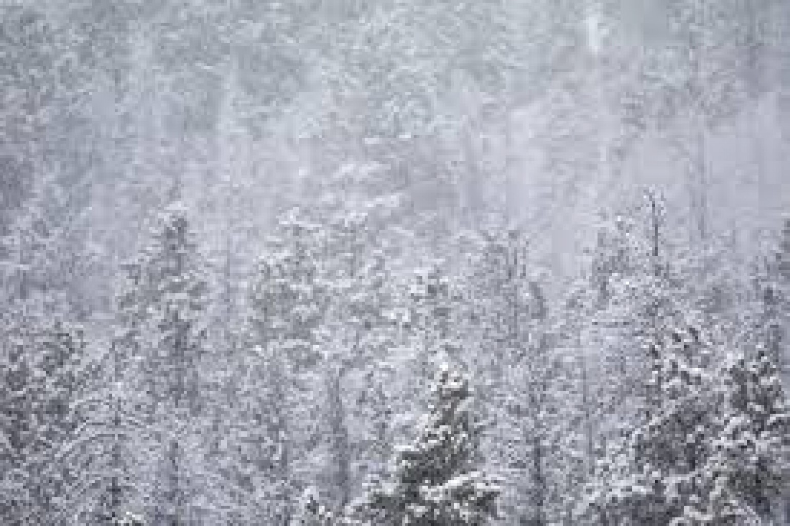 CONSEJOS PARA ESTAR PREPARADOS EN El INVIERNO 