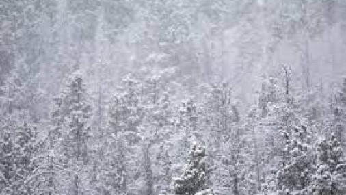 CONSEJOS PARA ESTAR PREPARADOS EN El INVIERNO 