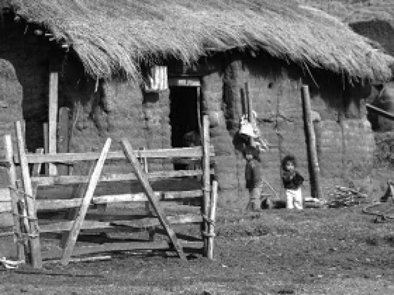 TRABAJADORES ESENCIALES: Pandemia es  evidencia del papel clave de trabajadores agrícolas