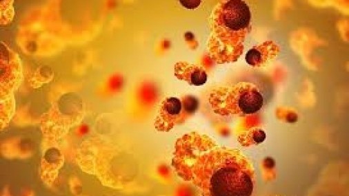 ¿Quiénes tienen riesgo de presentar cáncer de próstata?