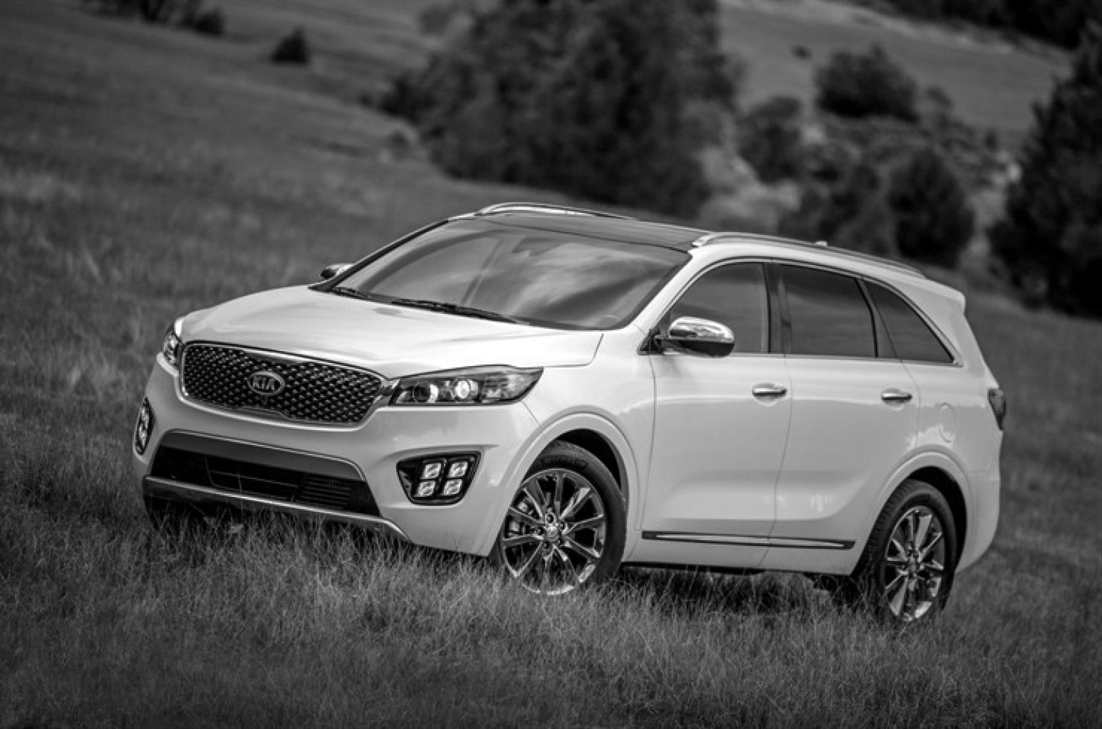 Tanto Hyundai como Kia deben retirar 591,000 vehículos en los Estados Unidos