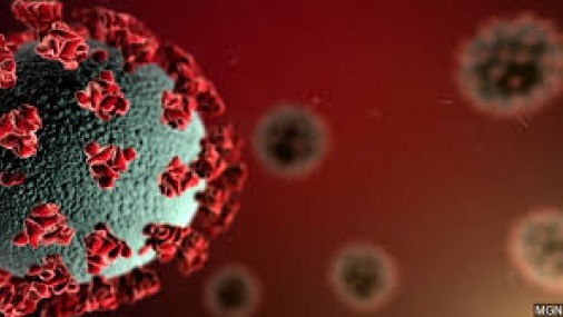 La Gripe y el Corona Virus 