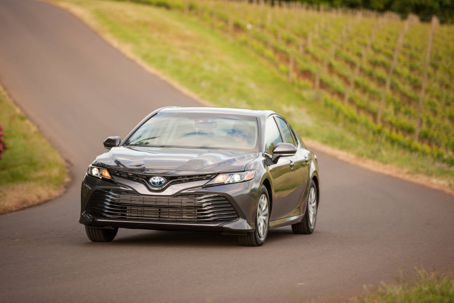 Toyota y Lexus llaman al mayor retiro de vehículos en su historia