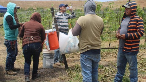 Indocumentados, esenciales excluidos del apoyo financiero por la covid