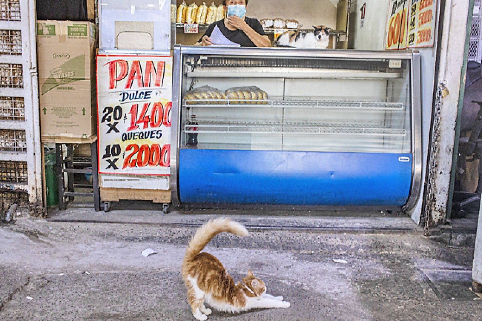 Aumenta la pobreza en Latinoamérica afectada por el virus
