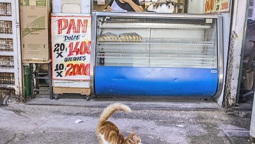 Aumenta la pobreza en Latinoamérica afectada por el virus