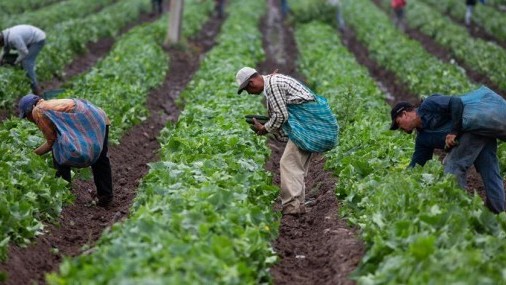 Inmigrantes “claves” para salir de la crisi, según informe del Congreso