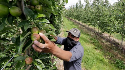 Gobernador de Washington firma proyecto de ley sobre horas extras de trabajadores agrícolas