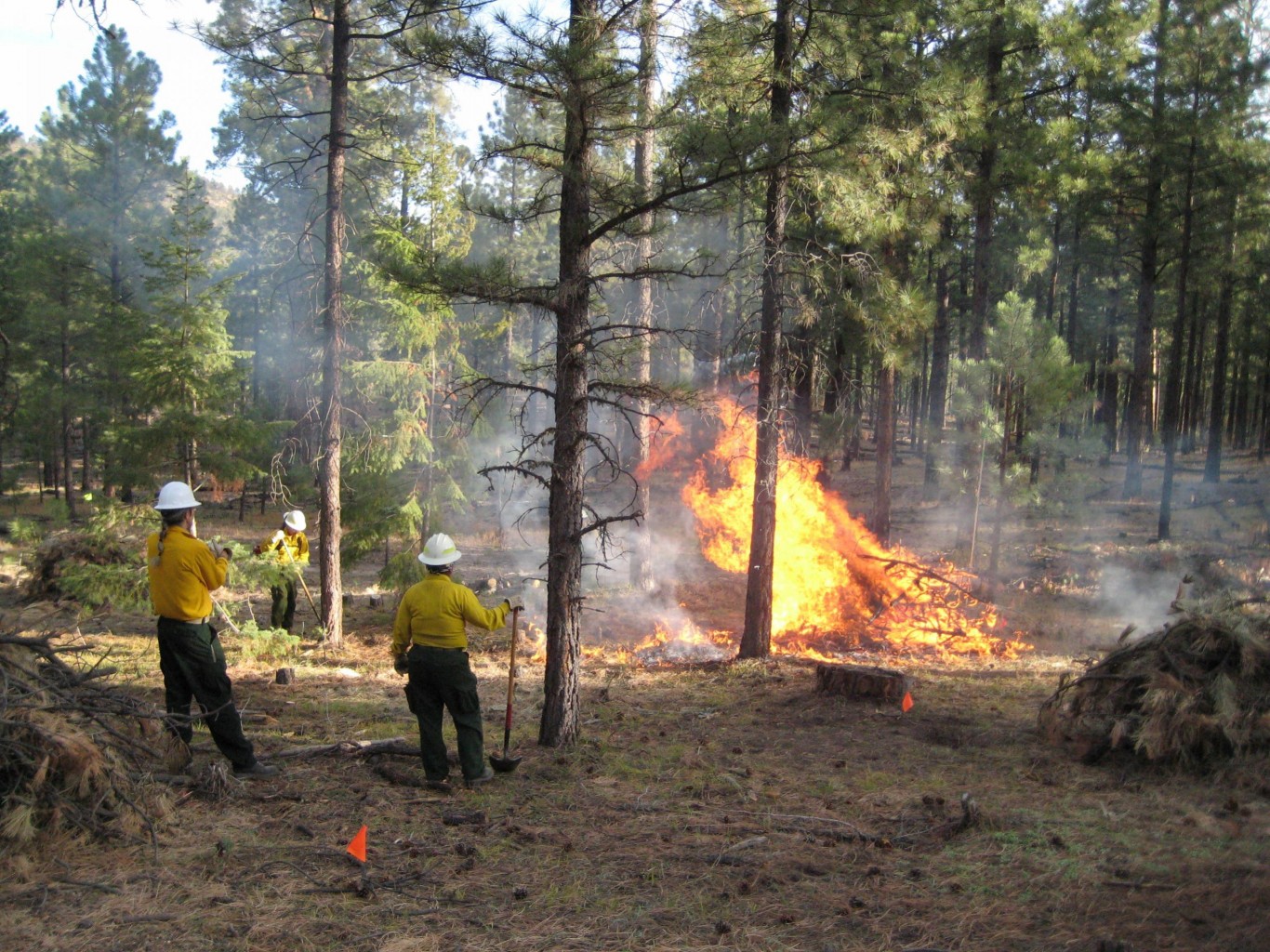 El tamaño de los incendios forestales de Oregon subraya la inmensidad del oeste de EE.UU.