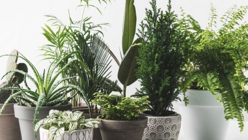 Cómo adaptar el interior del hogar al otoño