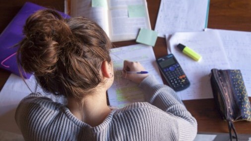 Estudio muestra Comprensión de las  Disparidades que existen dentro de las razas