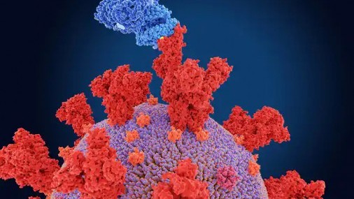 Variantes de COVID-19 en Oklahoma mezcla de Ómicron y Delta