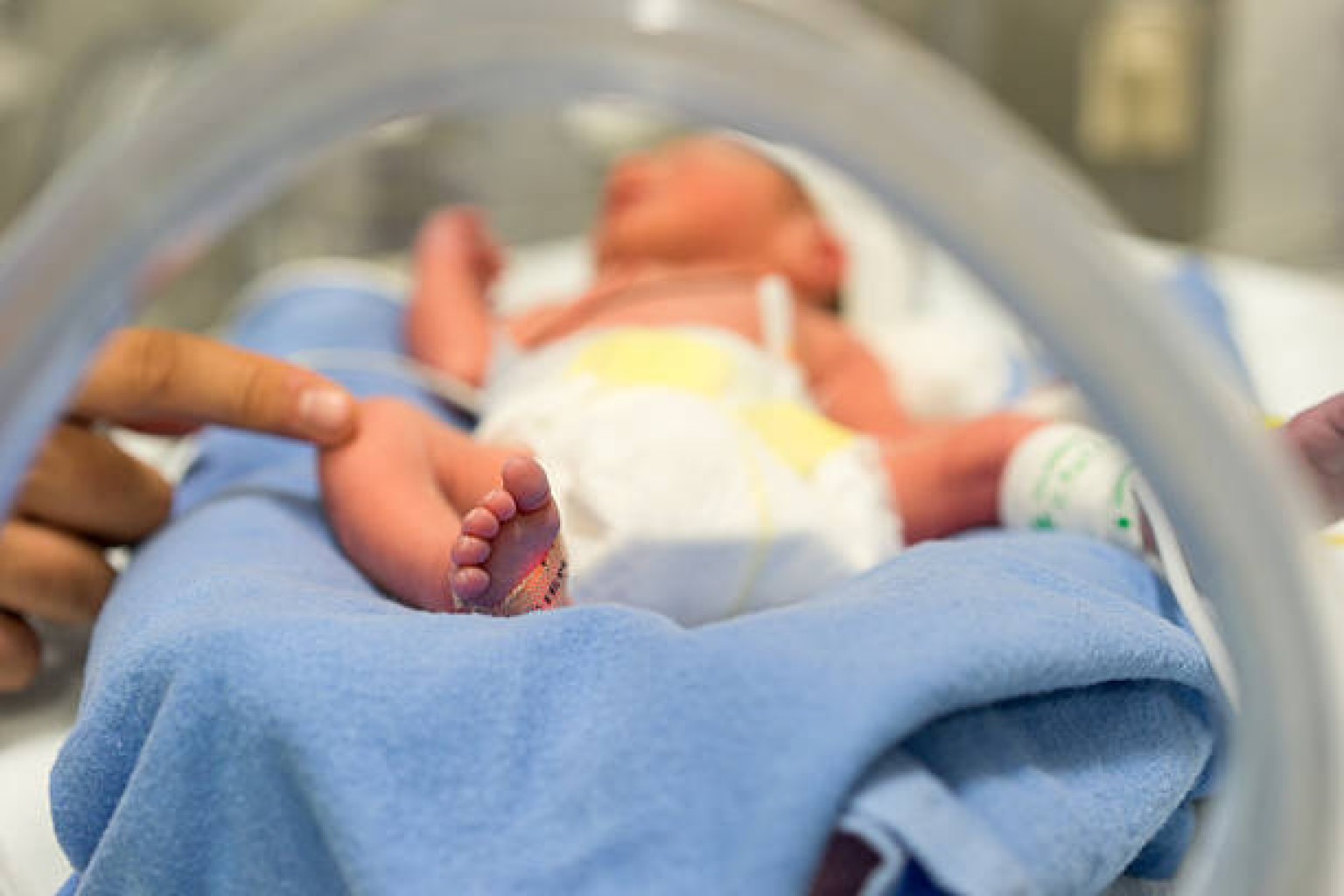 Proyecto de ley Prohibiría Ciudadanía a bebés de indocumentados