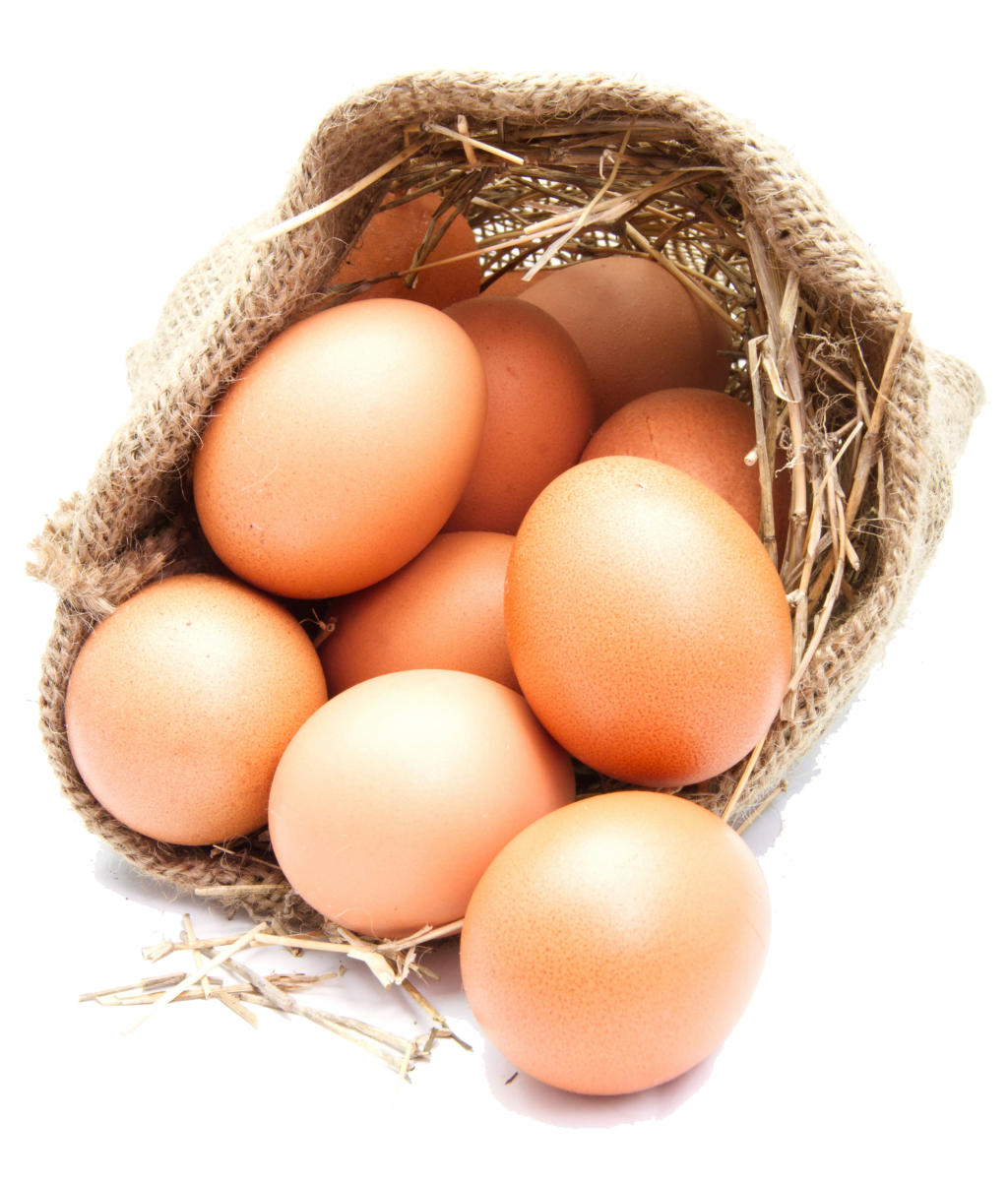 Señor juez, ¡el huevo es inocente!