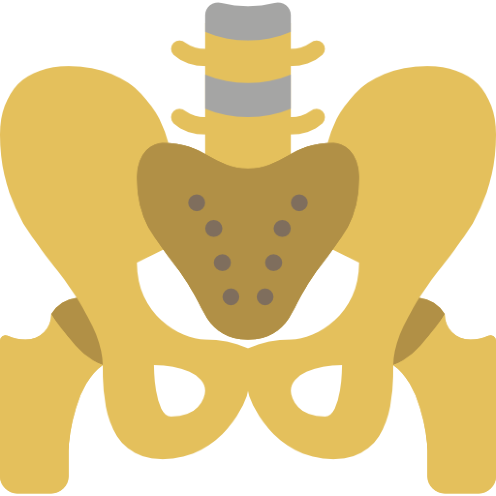 El suelo pélvico y la incontinencia urinaria