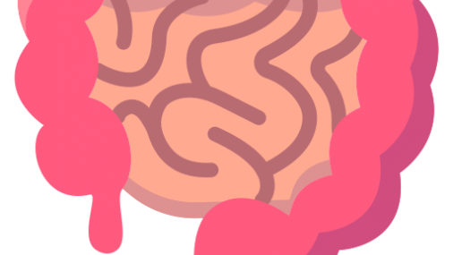 Combate el estreñimiento, entrena a tu intestino