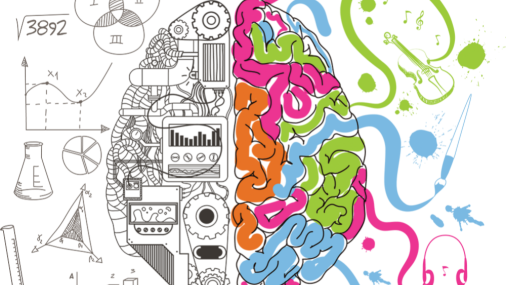 El cerebro humano después de los 60 años
