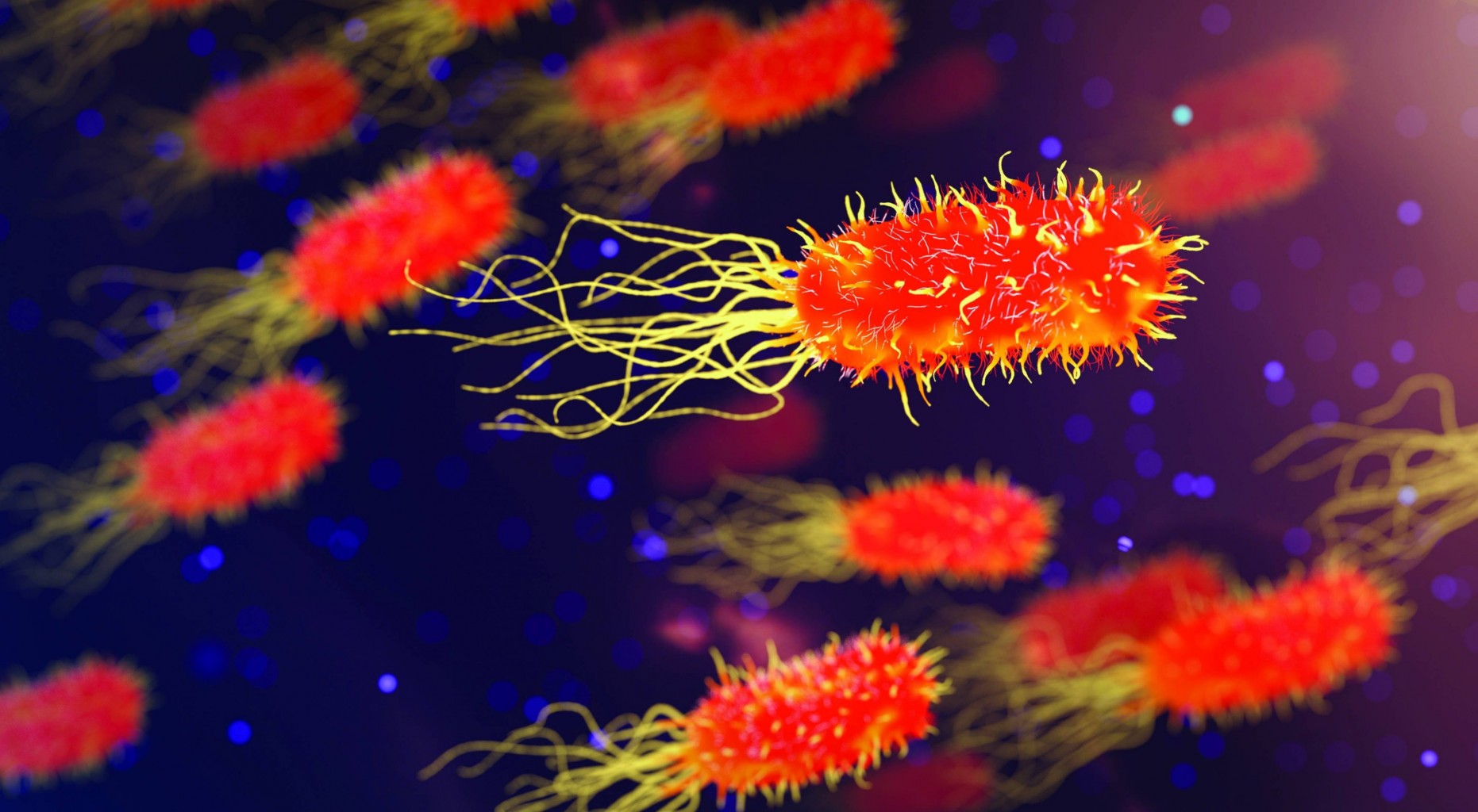 Superbacterias: ¿estamos a salvo?