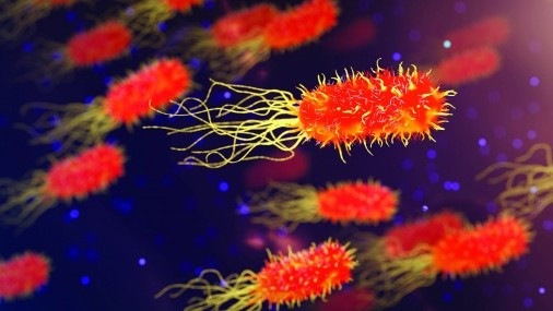 Superbacterias: ¿estamos a salvo?