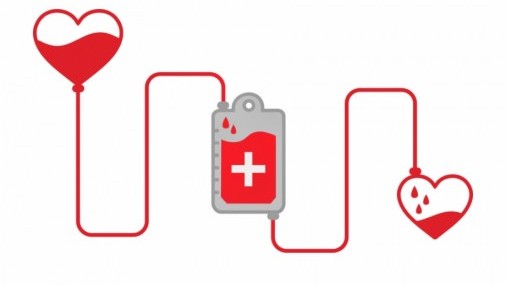 Enero es el Mes Nacional del Donante de Sangre: Una familia de Florida está celebrando a los donantes de sangre, donantes de órganos y La recuperación de su hija de un trasplante desafiante a casi 1,0