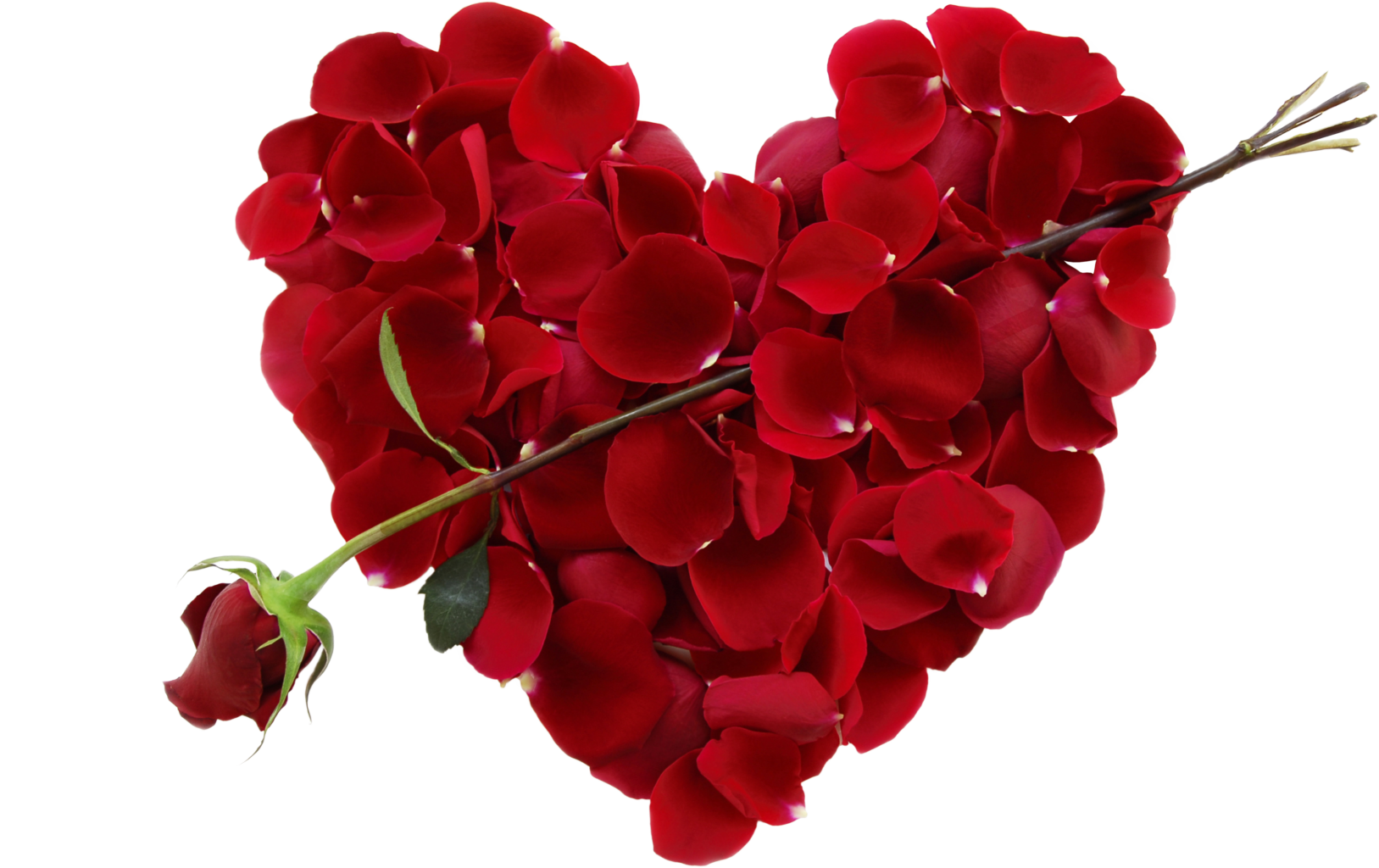 3 grandes maneras de disfrutar de un encantador Día de San Valentín