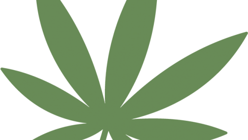 Presentan proyecto de ley para otorgar mayor control local sobre los negocios de marihuana