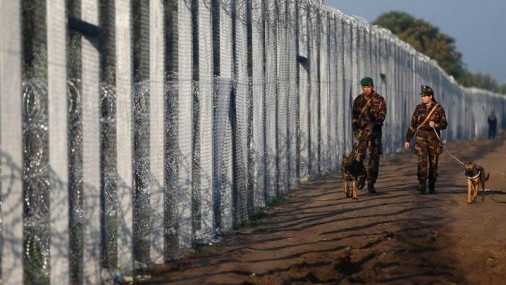 La desinformación sobre ‘fronteras abiertas’ contribuye a la migración hacia Estados Unidos