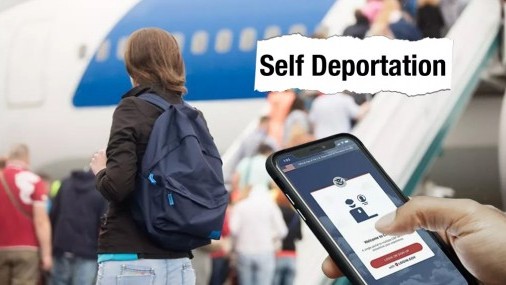 Promocionarán la autodeportación 