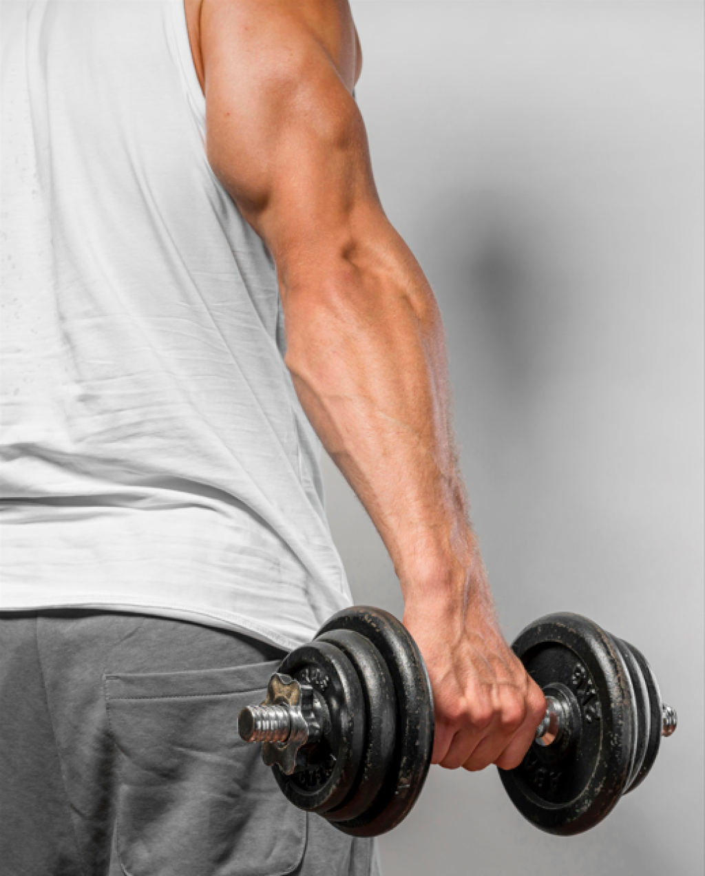 ¿Por qué la fuerza muscular es una herramienta clave para la longevidad? ¿Por qué la fuerza muscular es una herramienta clave para la longevidad?
