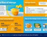 Momentos de Mango: Cómo Disfrutar de la  Fruta  durante Todo el Año