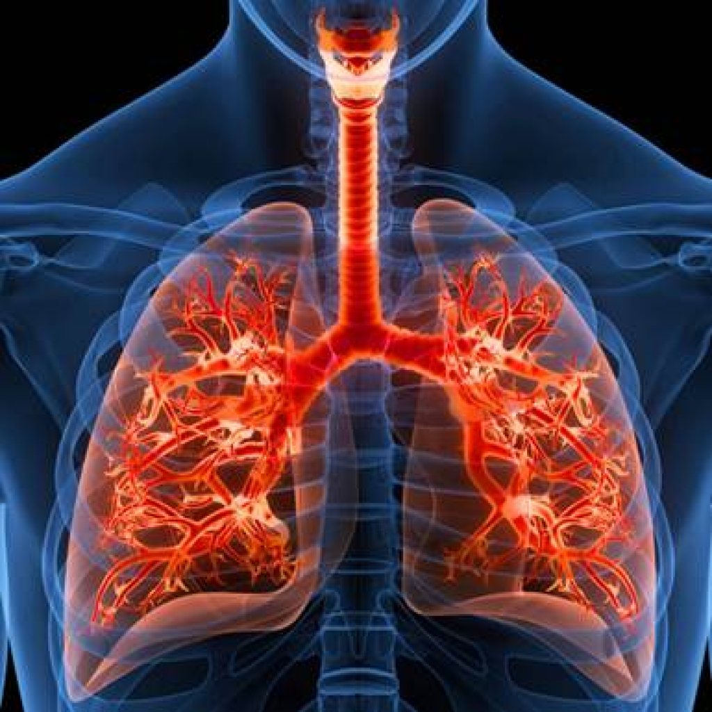 Mes de Concienciación sobre la Fibrosis Pulmonar